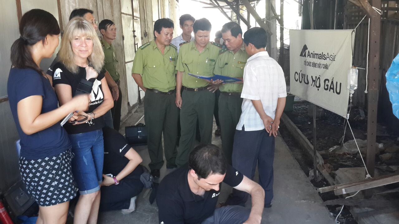 Cứu[-]hộ[-]thành[-]công[-]hai[-]cá[-]thể[-]gấu[-]ngựa[-]tại[-]thị[-]xã[-]An[-]Khê,[-]tỉnh[-]Gia[-]Lai